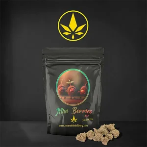 Mini Buds CBD Berries - CannaBioDelivery