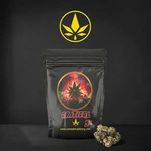 Flor CBD Critical - CannaBioDelivery